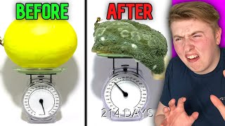 This Food Time Lapse Will Shock You!