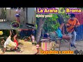 La araña broma / pegadinha a aranha / spider prank