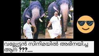 വല്ല്യേട്ടൻ സിനിമയിൽ അഭിനയിച്ച ആന ??... | Cheloor Mana Ravi | Anayum Anakaranum