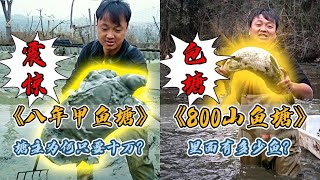 花10万包下养了8年的老甲鱼塘，里面竟然抓到好多超大老甲鱼！｜花800元包下村口荒废的小鱼塘，没想到里面竟然这么多鱼！｜#户外抓鱼 #户外捕鱼 #大表哥抓鱼 #乡村生活 #农村生活