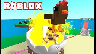 La Gallina Mas Grande No La Puedo Matar Roblox Egg Farm Simulator - hack para egg farm simulator roblox