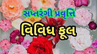 સપ્તરંગી પ્રવૃત્તિ || વિવિધ ફૂલ #Activity