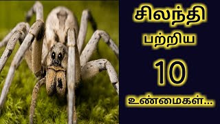 சிலந்தி பற்றிய 10 உண்மைகள் / 10 facts about spider / Tamil / Bright Think