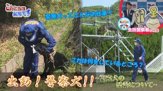 『出動！警察犬！！』～警察犬の活動について～・PS.私のまちから「生田警察署の特集」【こんにちは県警です（令和４年６月４日放送）】