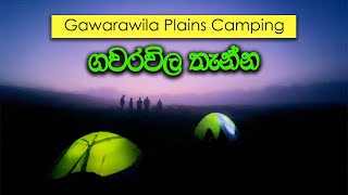 Camping at gawarwla plains/ගවරවිල තැන්න ගාට්මෝර් දිය ඇල්ල මුදුනට/Gartmore/Upcot/Sri Lanka  vlog