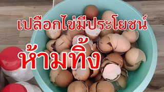 เปลือกไข่มีค่าอย่าทิ้ง เรามาทำปุุ๋ยเปลือกไข่กันเถอะ#ปุ๋ยเปลือกไข่