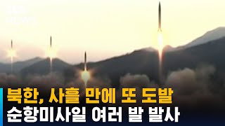 북한, 사흘 만에 또 도발…순항미사일 여러 발 발사 / SBS