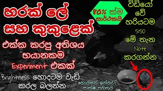 හරක් ලේ එක්ක කුකුළෙක් ලග තියාගෙන NC කරපු පට්ටම Holman Experiment එකක් | හොල්මන් ඉන්නවා අපි අතර