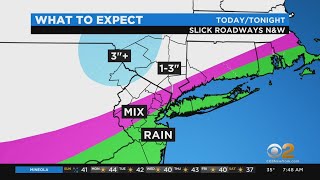 New York Weather: CBS2's 1/3 Sunday Morning Update