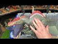 huge collection of 100 jurassic world dinosaurs spinosaurus indominus rex triceratops u0026 more