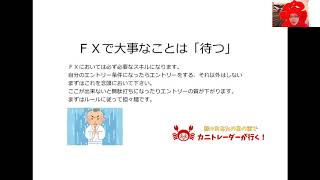 FXで大事なのは「待つ」こと！じゃあ何を待つのよ!カニトレーダーさんに聞きました【ダイジェスト】