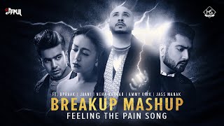 Breakup Mashup | Feeling the Pain Song | Ft. Bpraak | Jaani | Neha Kakkar | Mix Papul | HS Visual