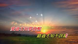 誰的心能讓我停泊〈華語〉  葉蒨文〈歌手演唱版〉