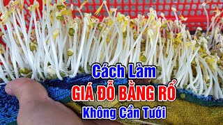 Cách làm giá đỗ bằng rổ nhựa không cần tưới nước