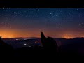 beautiful relaxing sleep music. fall asleep in 10 minutes