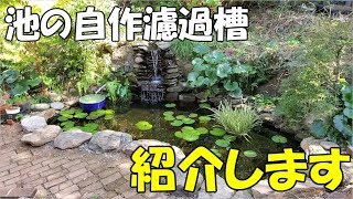 １１月の庭池と庭池の自作濾過槽(my diy pond)