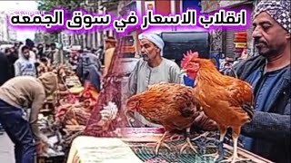 الناس كلها في سوق الجمعه بتشترى بط واسعار فراخ حمام ارانب رومى وز اخضر طيور لرمضان🦆