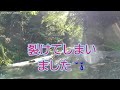 渓流ルアー釣り 　 15 滋賀県　愛知川上流　御池川　　釣って食べる‼️