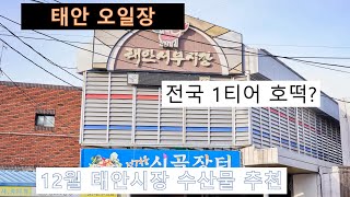 12월의 태안오일장/추천수산물/굴짬뽕/신진도수산물시장/전국 1티어 호떡