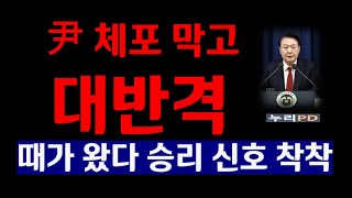 尹 체포 임박? 천만에/대반격 개시