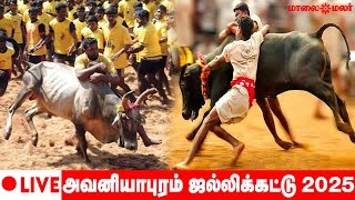 🔴LIVE | அவனியாபுரம் ஜல்லிக்கட்டு 2025 | LIVE UPDATES | Avaniyapuram Jallikattu | Jallikattu