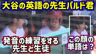 目撃‼️大谷翔平の英語教室 先生はBBパルド君【現地映像】ShoheiOhtani Angels