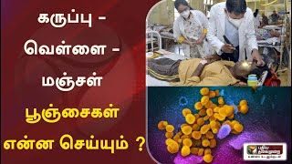 கருப்பு - வெள்ளை - மஞ்சள் பூஞ்சைகள் என்ன செய்யும் ?