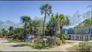 2411 Periwinkle Way