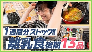 【離乳食後期】離乳食冷凍ストック作り公開！【時短テク】