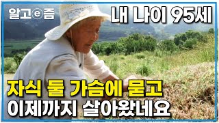 오래전 남편과 아들을 가슴에 묻고 살아온 95세 할머니, 볼 수 없는 가족들 대신 장성한 손주들이 있으니 이젠 여한이 없다｜장수의 비밀｜알고e즘