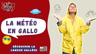 La météo en gallo ☀️ 🌧 💨 - Triple Gallo n°1