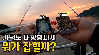 부산 가덕도 도보권 방파제 원투 낚시 [대항방파제]