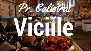 Parintele Calistrat - Viciile - Alcoolul si Drogurile