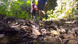 Le plus beau sentier pédestre (trekking / randonnée) à Hanoi, Vietnam