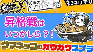 【50歳のスプラトゥーン3】クマネッコのガウガウスプラ：昇格戦はいつかしら？！【ネコヌリ】【オーバーフロッシャー】