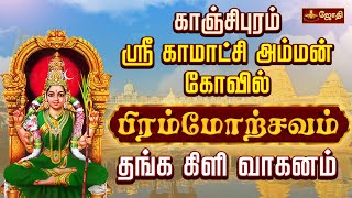 காஞ்சிபுரம் ஸ்ரீகாமாட்சி அம்மன் கோவில் பிரம்மோற்சவம் - தங்க கிளி வாகனம் | Kanchi kamatchiAmman