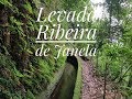 Levada Ribeira da Janela