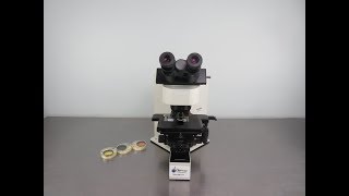 Olympus BX60 Upright Compound Microscope