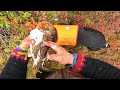 kanalintujahtia savukoskella osa 1 hunting in finnish lapland 🇫🇮 part 1