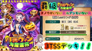 【黒猫のウィズ】スノウがいなくても、ルダンがいなくても、覇級3TSSデッキが組めた！！【ハロウィン大魔道杯】