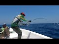 epic tuna fishing adventure triple strikes of massive tuna okuma azores