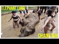 Elephant land | Chiang Mai | Thailand