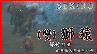 【隻狼】(雙) 獅猿 爆竹打法 能無傷又有效率~ 爽~ | Sekiro™_ Shadows Die Twice