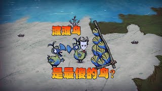 饥荒单机版：渡渡鸟是不是饥荒中最傻的鸟？