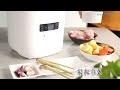 buffalo mini smart rice cooker introduction