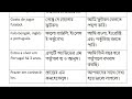 ৩ মিনিটে পর্তুগিজ ভাষায় নিজের পরিচয় দেওয়া শিখুন