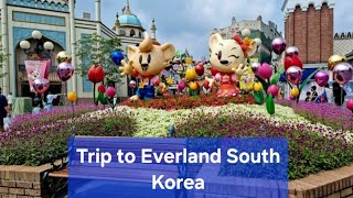 Trip to Everland South Korea #video#travel#visitkorea