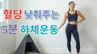 [미스테리박스 운동 7탄] 혈당 낮춰 주는 5 분 하체 운동 / 함께 도전하는 미스테리 박스 운동 11월 운동 습관 만들기!