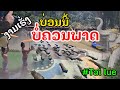 Laotian : ສວນນົກຍູງ ງາມຫລາຍໆ | สวนนกยูงสิบสองปันนา .