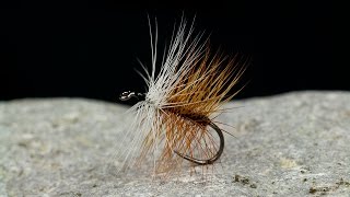 Brown Bivisible - Beginner Fly